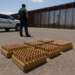 EU asegura 43,000 cartuchos en la frontera con México