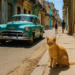 ‘Aun nos queda el alma. La Habana’, la exposición fotográfica que retrata 12 años de Cuba