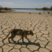 El Niño: UNAM reitera que el fenómeno podría intensificarse a fin de 2026