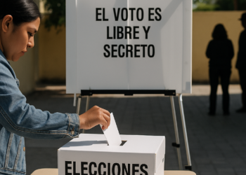 Comicios coahuilenses y las golondrinas