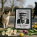 David Hockney, Legendary British Artist, Dead at 88