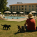 Franceses se protegen en hoteles de la ola de calor