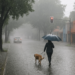 Azota tormenta al sur de la CDMX y colapsa vialidades