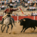 Manuel Jesús 'El Cid' torea al natural al cuarto 'victorino' de la tarde.