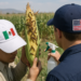 Abren México y EU planta contra gusano barrenador