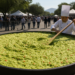 Jalisco obtiene Récord Guinness con guacamole más grande del mundo