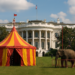 La Casa Blanca como circo romano