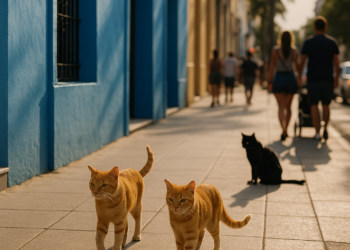 La ciudad considerada la más feliz del mundo, según un análisis