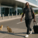 Lukaku llega a tiempo
