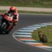 Jorge Martín: "Marc Márquez será el hombre a batir en Balaton"