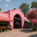 Pink market ¿Cómo cambió el mercado en 10 años?