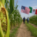 México y EU contra Gusano Barrenador