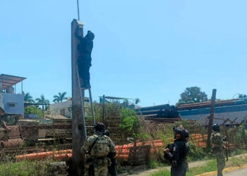 [post_title]