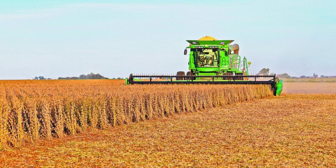 Milei oficializa reducción impositiva al agro argentino