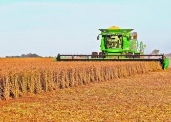 Milei oficializa reducción impositiva al agro argentino