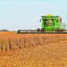 Milei oficializa reducción impositiva al agro argentino