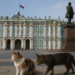 Hermitage Museum Suspends Archaeological Expeditions in Crimea