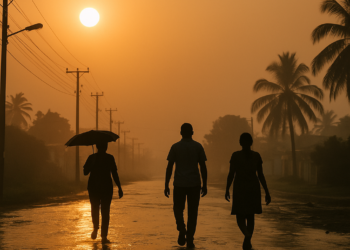 Países Bajos busca opciones creativas para enfrentar el calor extremo