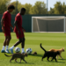 La mejor noticia para la Selección: Nico y Lamine ya se entrenan con el grupo