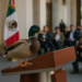 Llega pato 'Merlín' a la mañanera