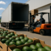 Exportaciones de aguacate batieron récord en 2025