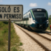 Justifican: 'Es una licencia' la cheve Tren Maya