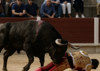 Toros: Tomás Angulo, herido “muy grave” en la Copa Chenel | Cultura