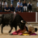 Toros: Tomás Angulo, herido “muy grave” en la Copa Chenel | Cultura