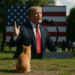Trump, ¿presión retórica?
