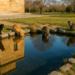 What Color Is the Reflecting Pool? An Investigation.