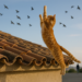 '¿Quién quiere volar?'