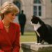 30 Iconic Princess Diana Photos