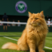 Andrew Garfield and His Majestic Mane Served at Wimbledon