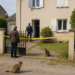 Apuñalaron ocho veces a una británica de 65 años en Francia y una mujer de 70 quedó bajo investigación