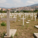 Sube a 2 mil 954 el número de muertos en Venezuela