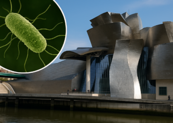 Bacteria that causes Legionnaires’ disease found in Guggenheim Museum cooling tower amid neighbourhood outbreak - The Art Newspaper