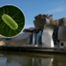 Bacteria that causes Legionnaires’ disease found in Guggenheim Museum cooling tower amid neighbourhood outbreak - The Art Newspaper