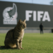 Desatan tormenta México y FIFA