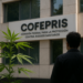 Venta de cannabis todavía no está regulada, afirma la Cofepris
