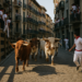 Cuarto encierro de San Fermín 2026, en directo | Cultura