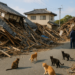 Suman 18 muertos por sismo en Japón; buscan a desaparecidos