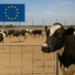 Reabrirá EU su frontera a ganado mexicano el 24 de agosto
