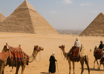 Egipto se monta en la ola