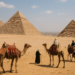 Egipto se monta en la ola