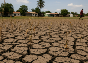El Niño podría afectar la inflación y tasas de interés en naciones de América Latina