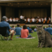 At Tanglewood This Summer, Things Are Feeling Pretty Tense