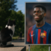 '¡Esa foto con Lamine es una locura!'.- Messi
