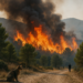 España: el mayor incendio de su historia