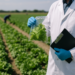 Se retracta FDA por Cyclospora en lechuga; pesquisa sigue