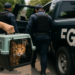 Traslada FGR a Ruffo a CDMX; 'no me olviden', dice
